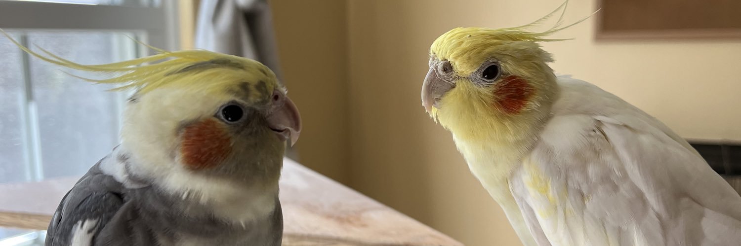 Pesto and Alfred(o)'s banner