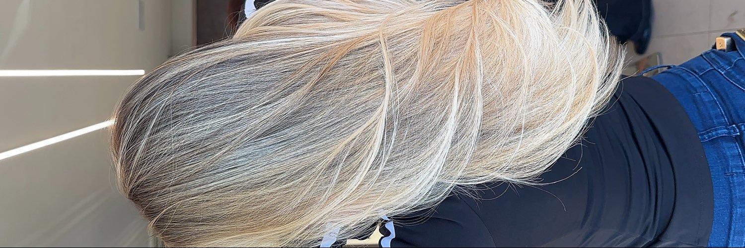 Ana Mello 🏳️‍🌈's banner