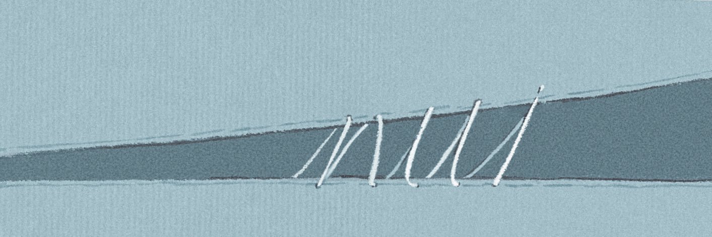 nui's banner