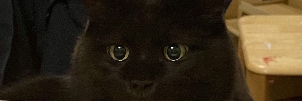 ふくちゃん's banner
