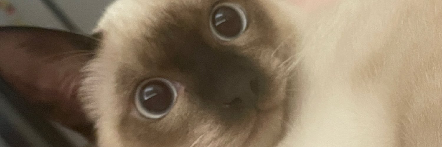 什锦炒面🥢's banner
