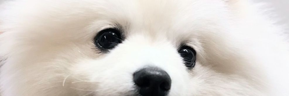 くま's banner
