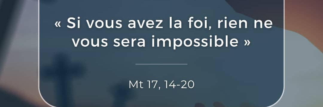 L’orchidée's banner