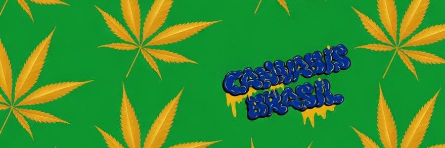 Cannabis Brasil's banner
