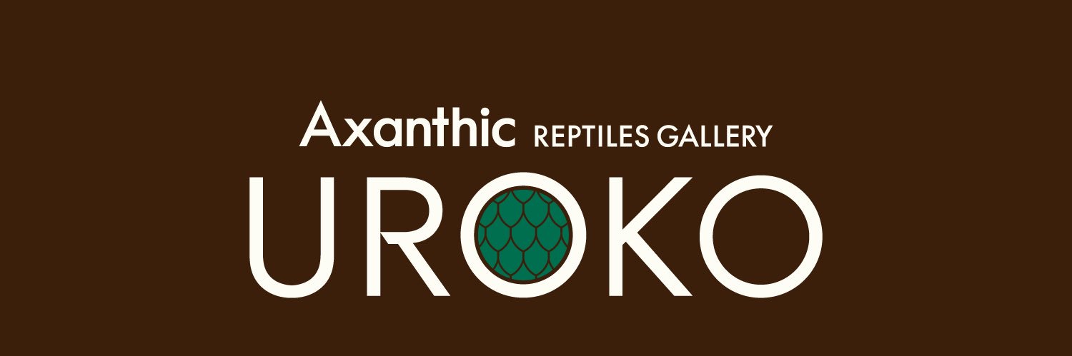 潤🗻Axanthic UR◉KO【広報部長】's banner