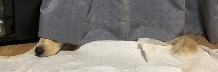 ともみ's banner