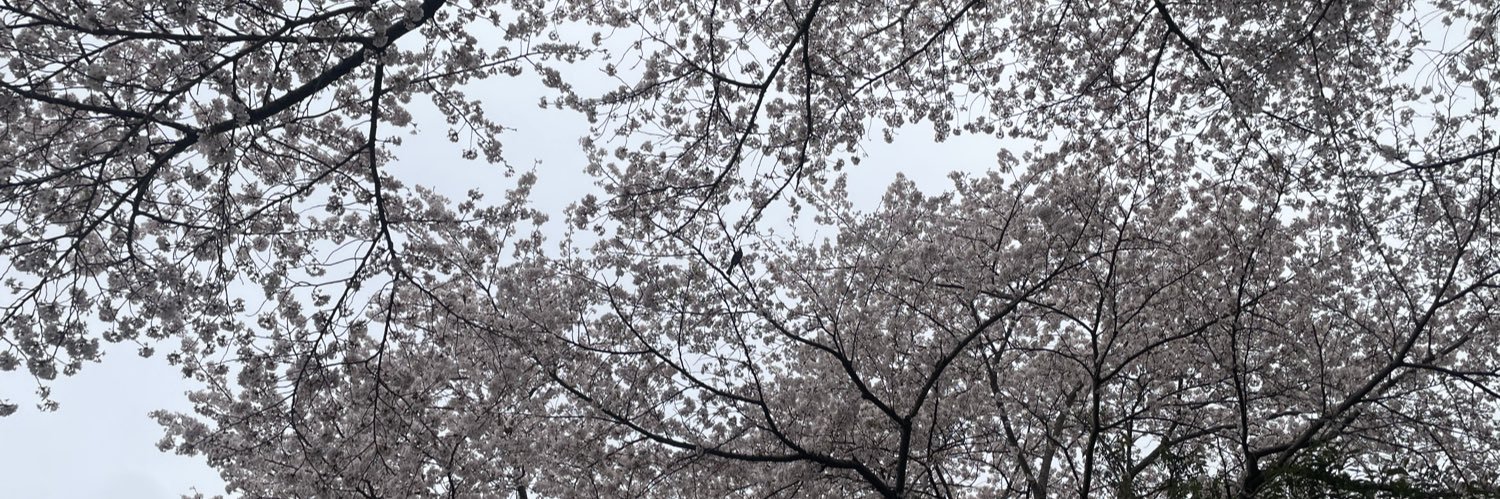すーら's banner