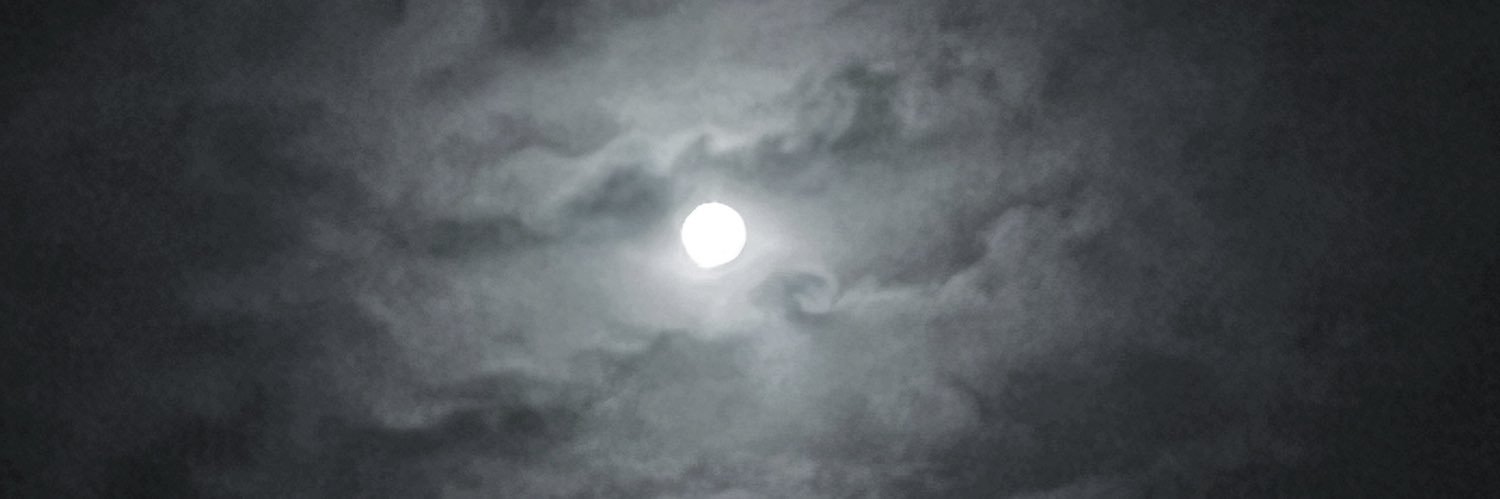 ₊ ⊹ ♱ 𝕲𝖍𝖔𝖚𝖑's banner