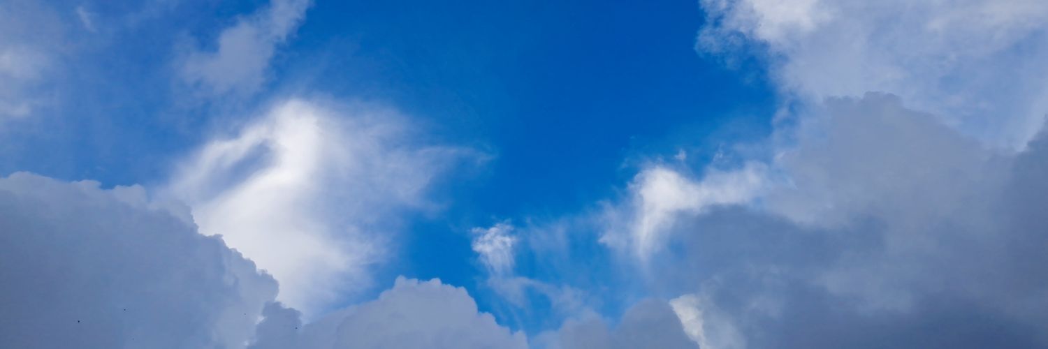 活人维斯（发烂发臭版）'s banner