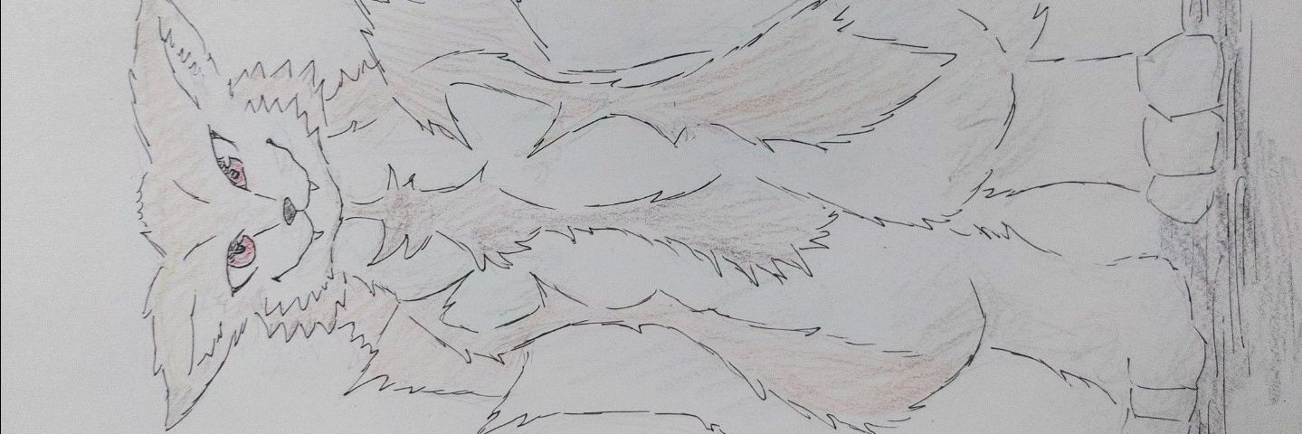 🐾はやふに🐾's banner