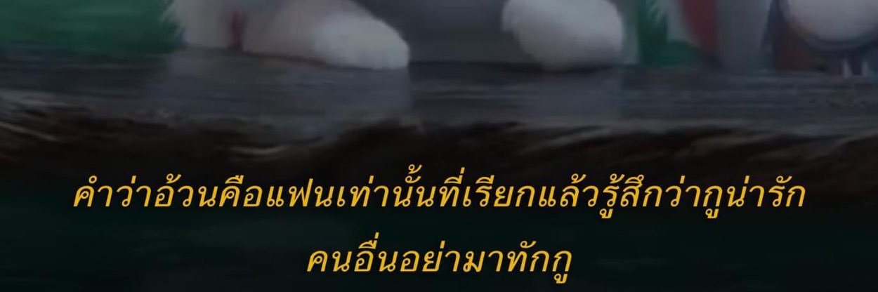 🐽 กี้จะเหลา 🫢's banner