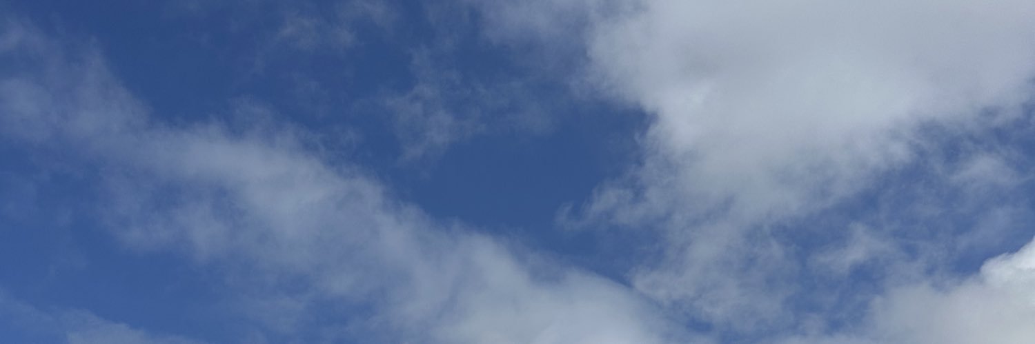 Mela martinez's banner