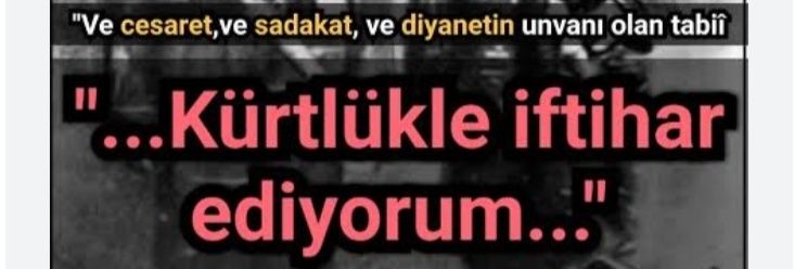 Şemo's banner
