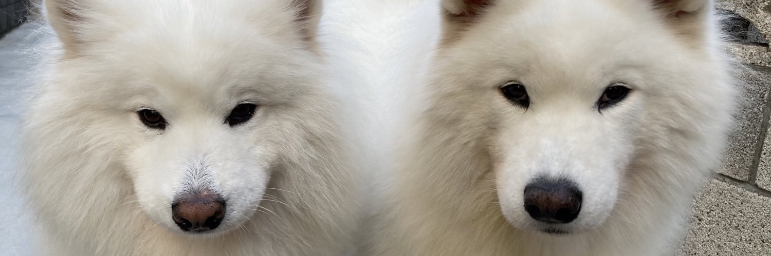 TOKI@サモGR飼い's banner