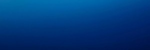 蒼井真理's banner