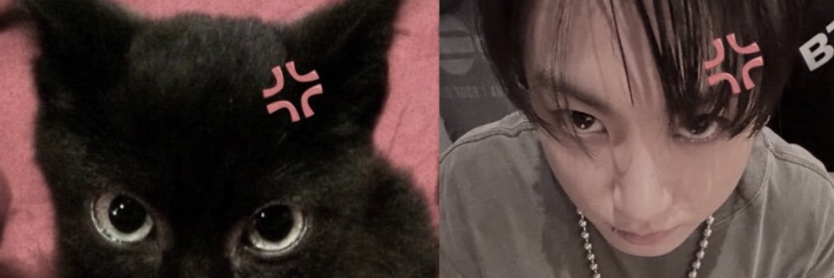 𝒎𝒂𝒓𝒊𝒆_𝒗𝒌🪐's banner