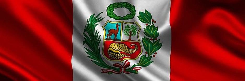Jóvenes Unidos Perú's banner
