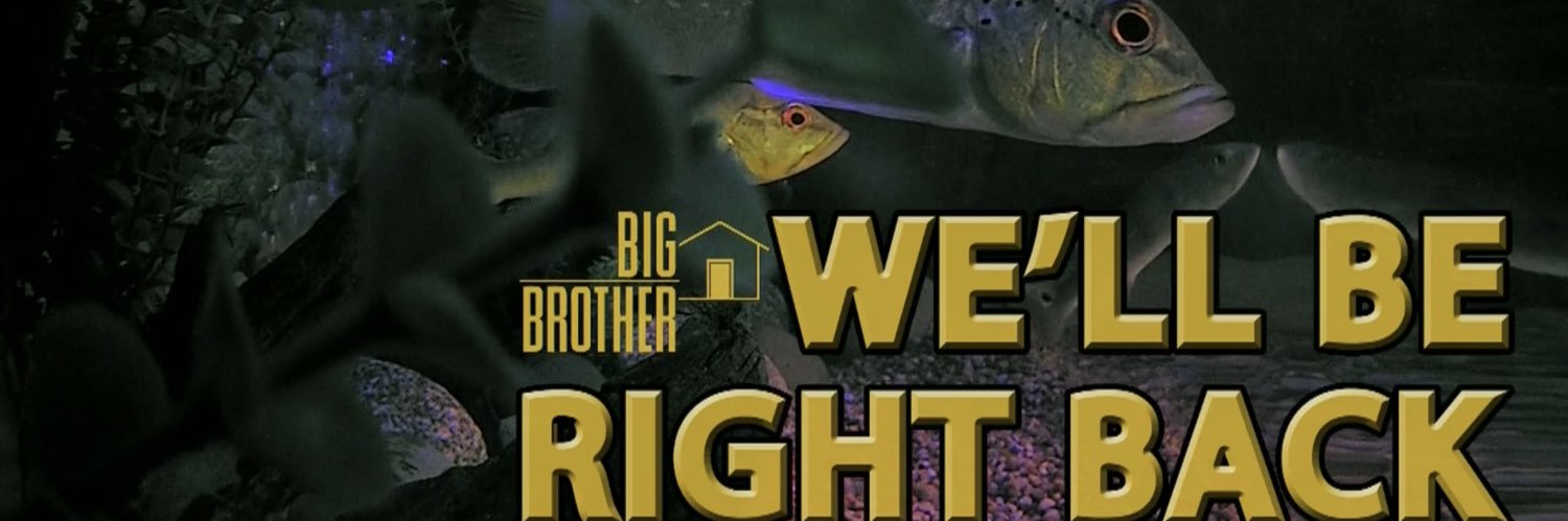 bbscreenshots #bb26's banner