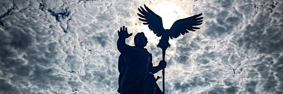 snegin's banner
