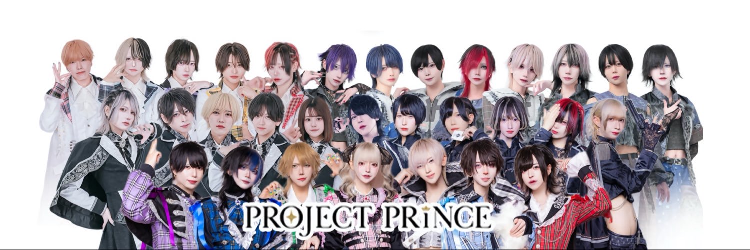 PROJECT PRINCE's banner