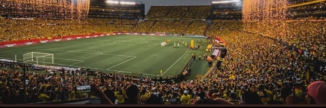 El Suspendido's banner