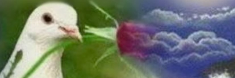 dunya's banner