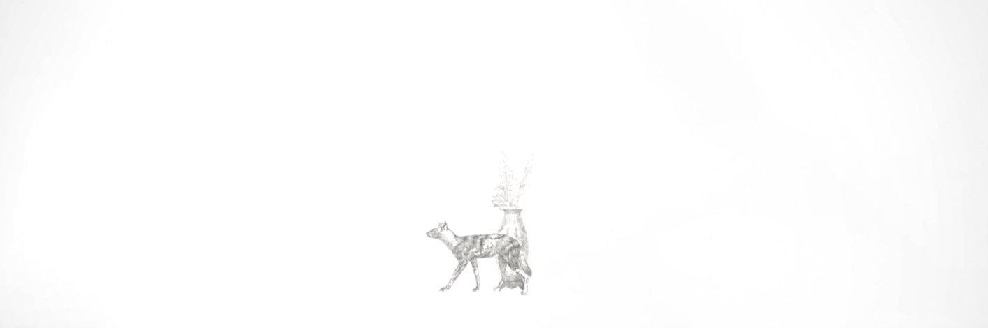 しいか's banner