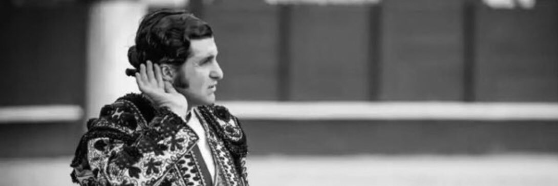 Genio de la Puebla's banner