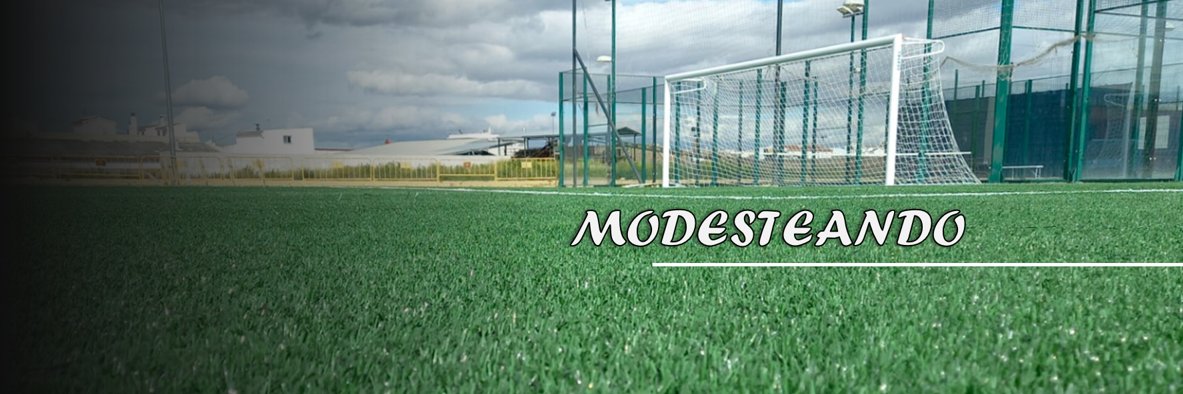 Modesteando's banner
