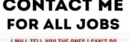 🦎's banner