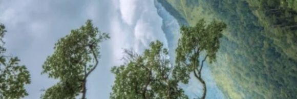Sex & Thi's banner