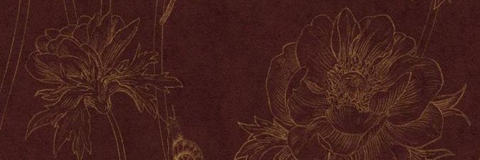 ays's banner