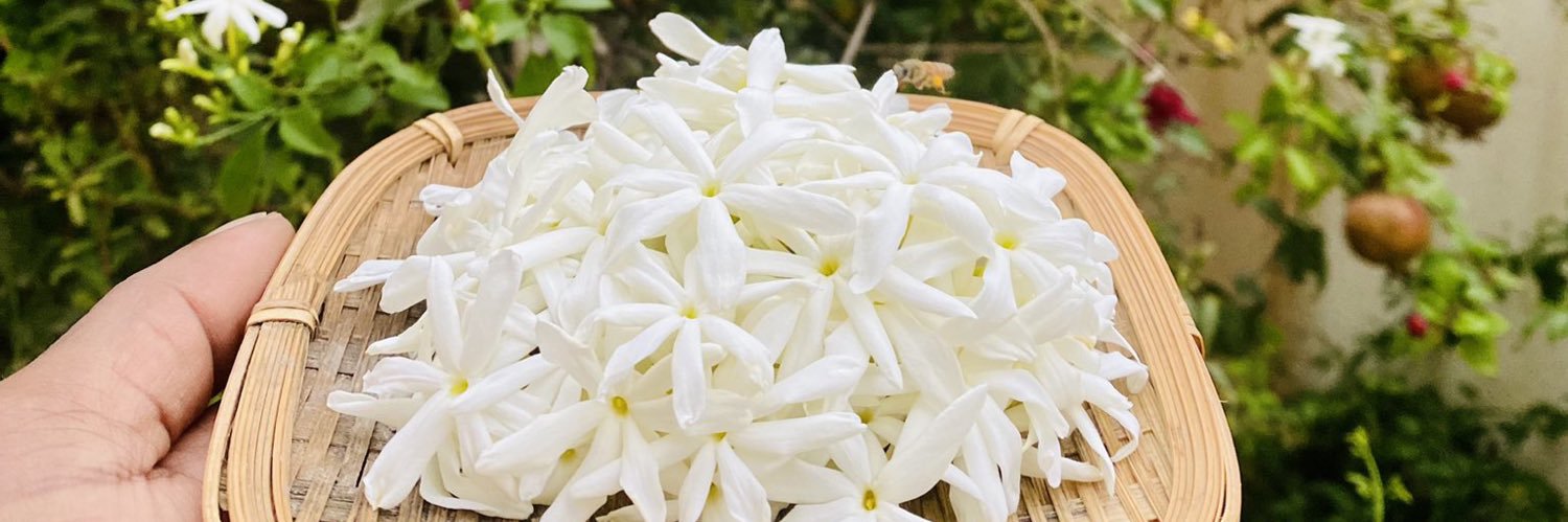 ණිපූ 🍃🌻's banner