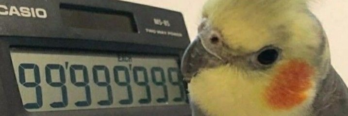 совёнок🦉's banner