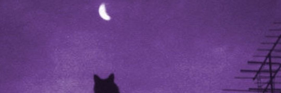 N-Moon 🇩🇿🇵🇸's banner