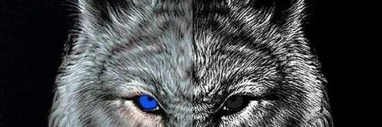 سمنگانی 🕊️'s banner