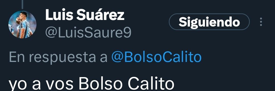 Calito Bolso y Atorrante's banner