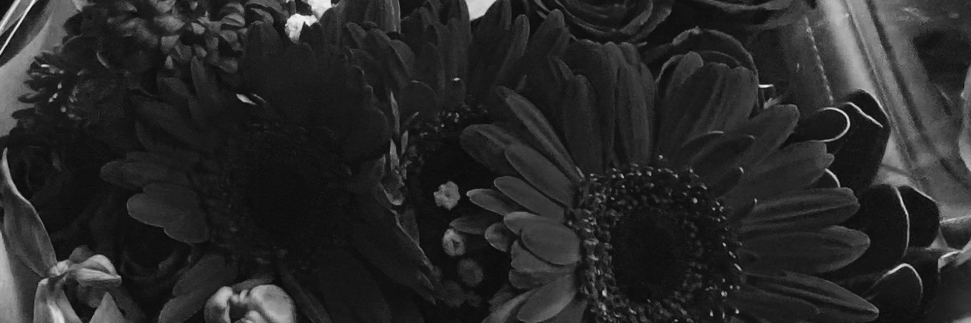 María Aréchiga🍒's banner