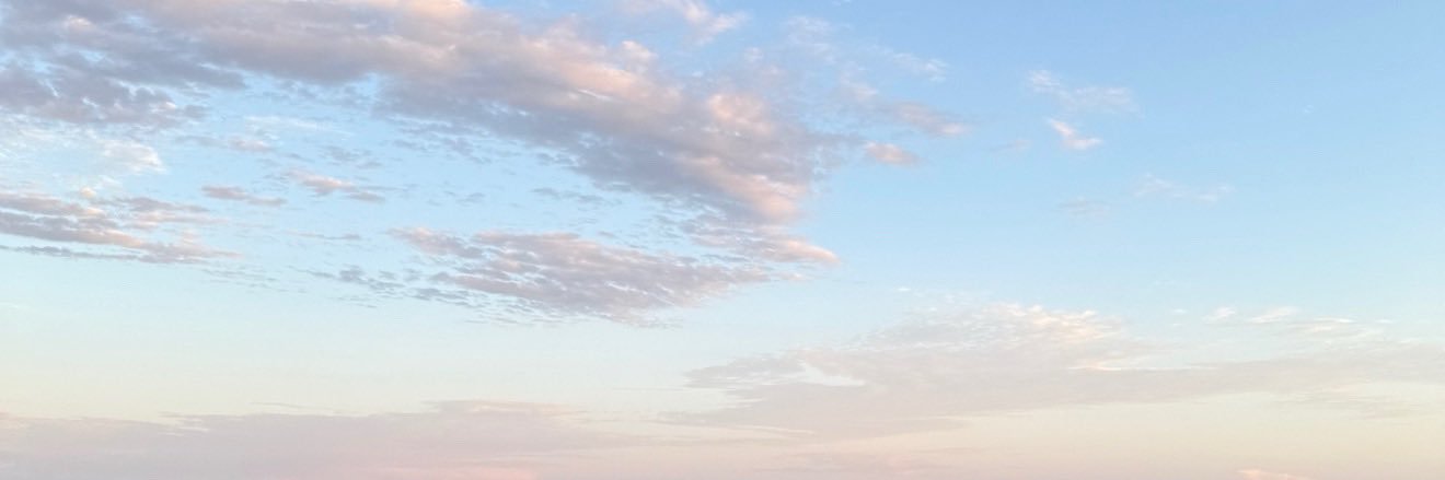 sk1nn7di3t's banner