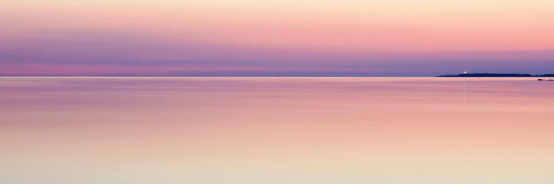 𝑃𝑜𝑟𝑐ℎ𝑜𝑟 ☆彡's banner