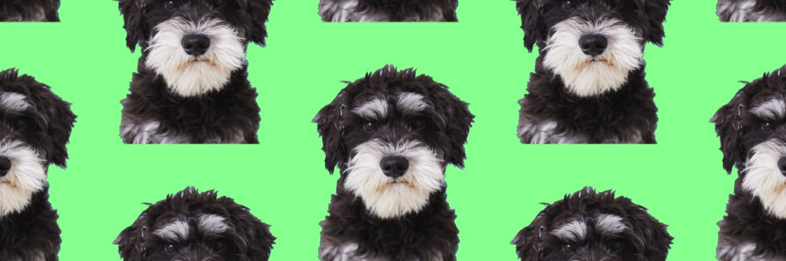 おり🐶's banner