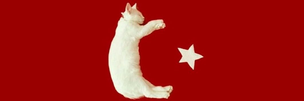 aşkolog pengu's banner