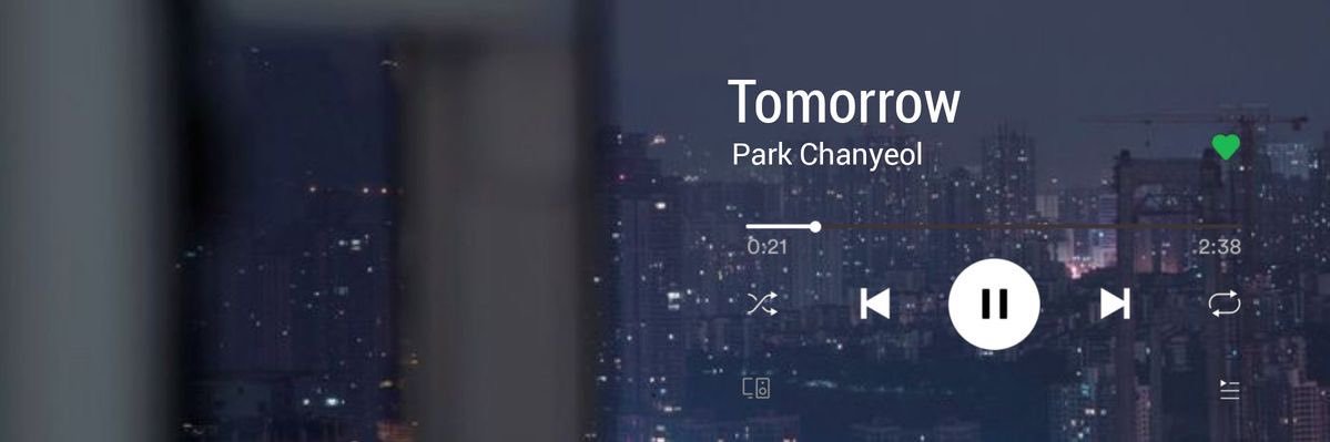 put's banner