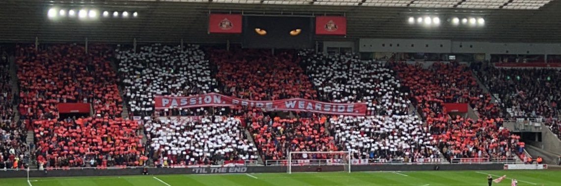 Zoe 🔴⚪️'s banner