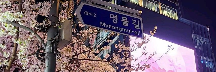 minnie's banner