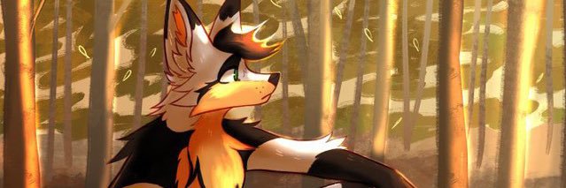 ▫️🔸Zephyr ◾️🔶 🔜FWA's banner