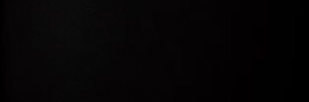 Paris Galaxy's banner
