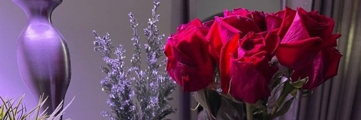 زينة الوصايف🌹🌷's banner