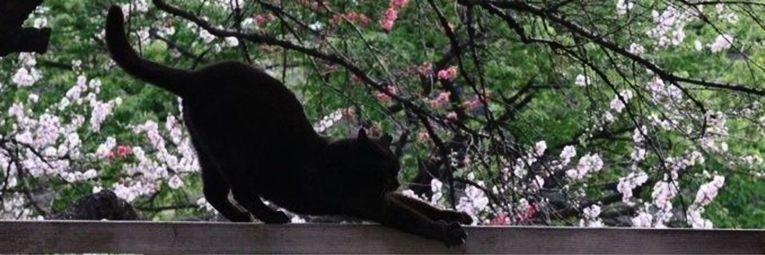 shahd*'s banner