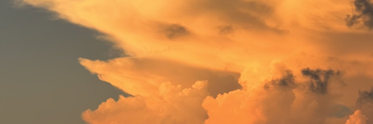 南部 桃伽🍑's banner